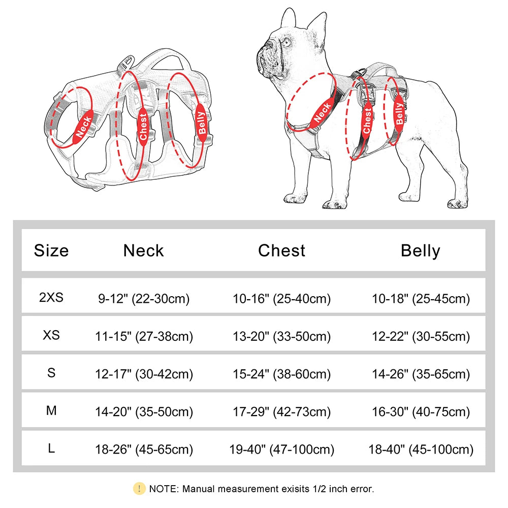 Adventure Harness