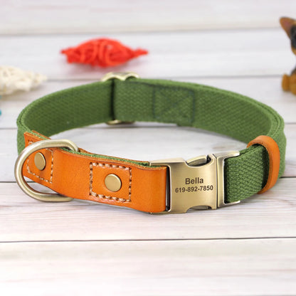 Custom Collar & Leash Set