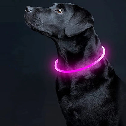 Glow Collar