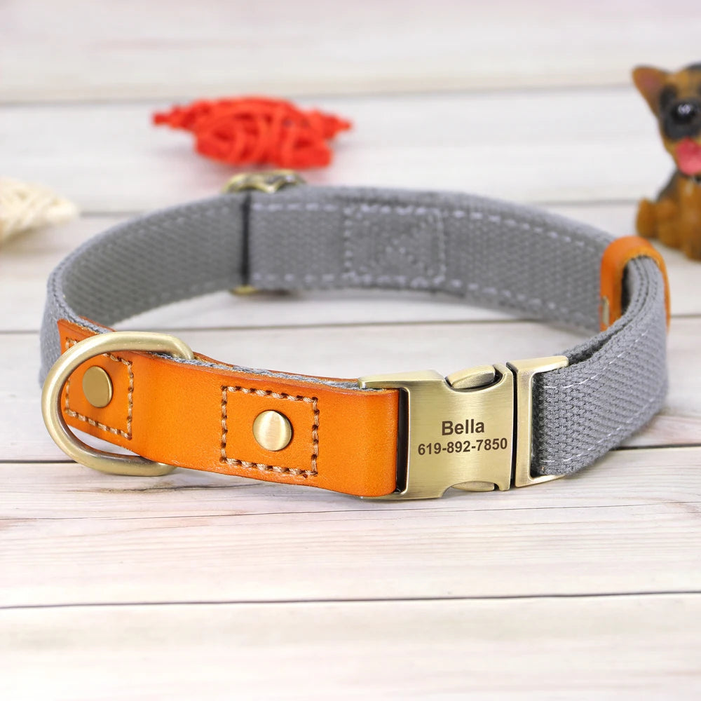 Custom Collar & Leash Set