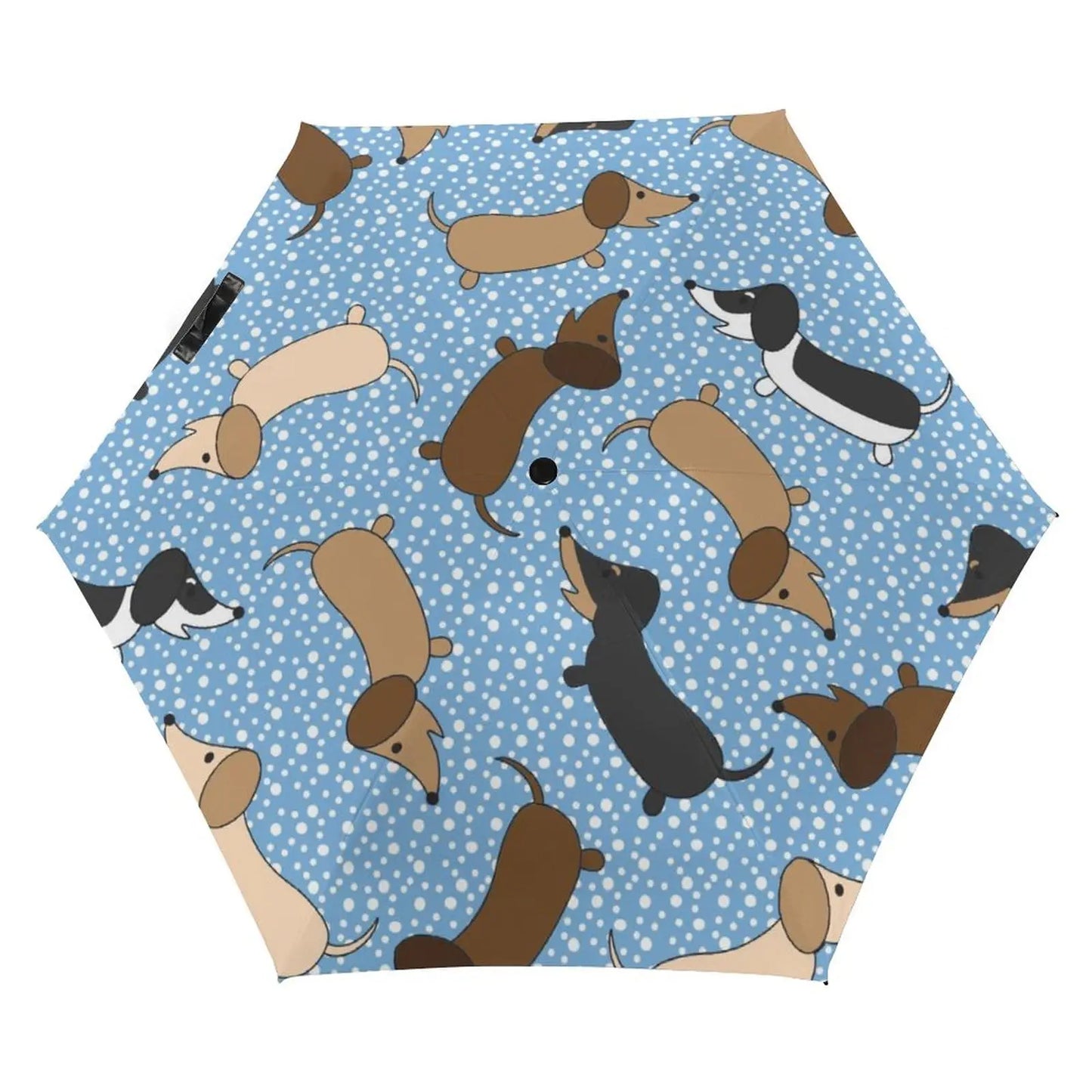 Dachshund Umbrella