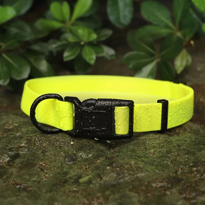 Waterproof Neon Collar