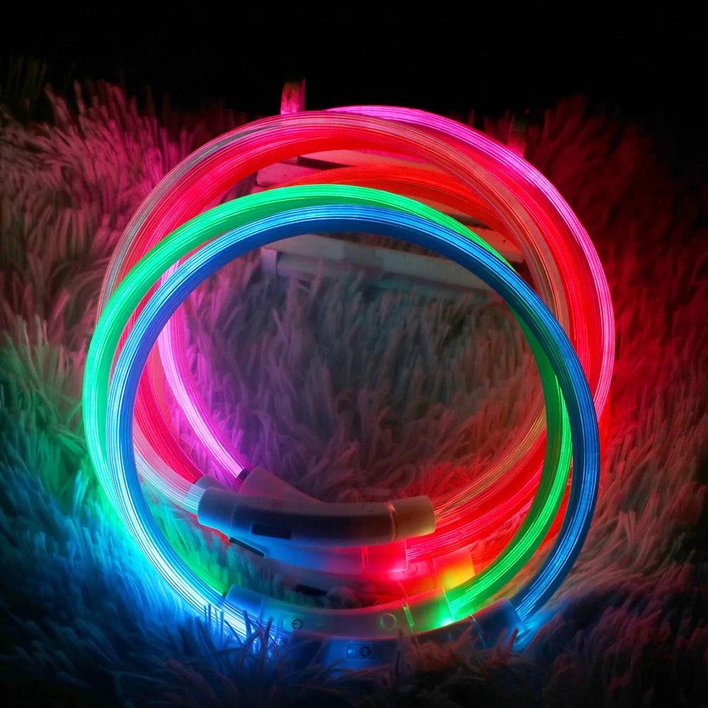 Glow Collar