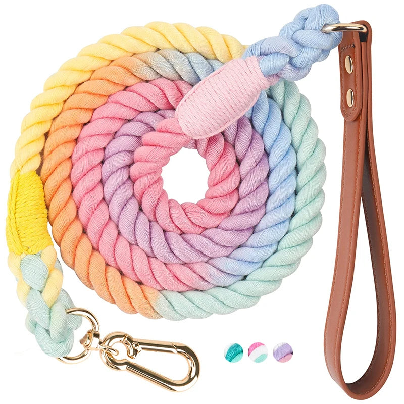 Braided Rope Leash with Leather Handle