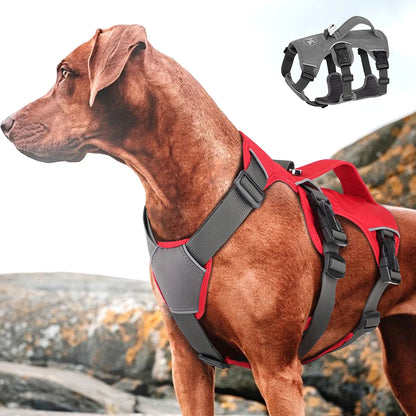 Adventure Harness