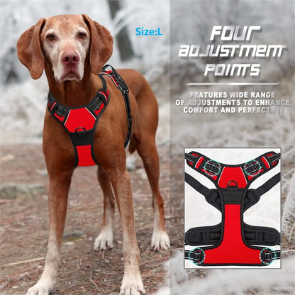 Explorer Harness