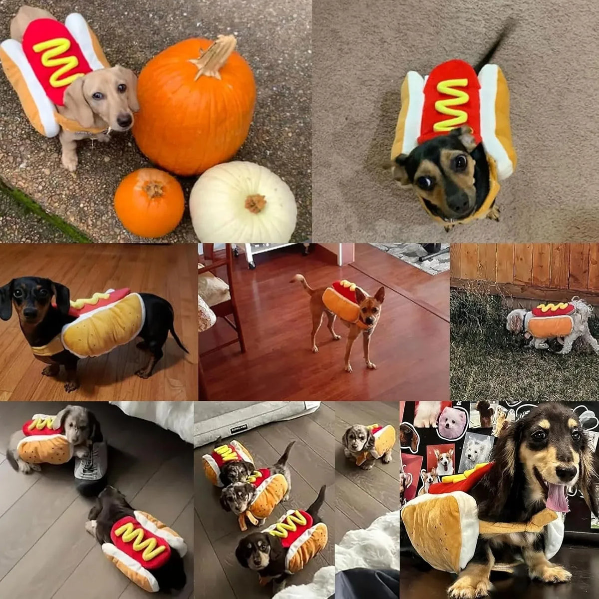 Dachshund Hot Dog Costume